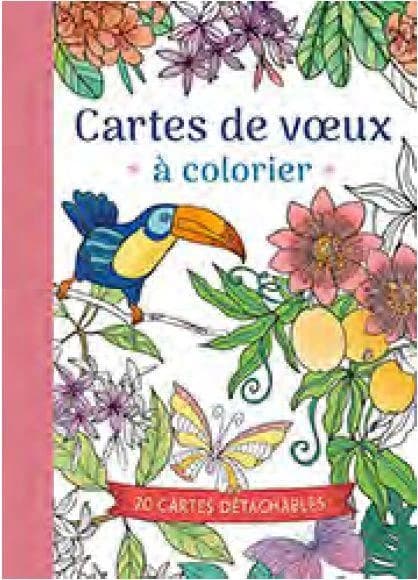 Cartes de vœux à colorier : 20 cartes détachables : [Album à colorier]