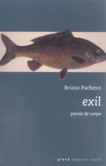 Exil : parole de carpe