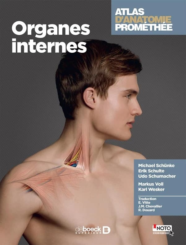 Organes internes