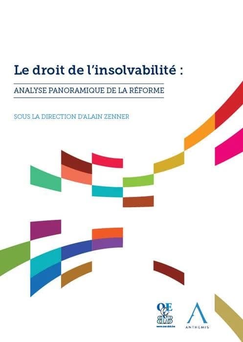 Le droit de l'insolvabilité : analyse panoramique de la réforme