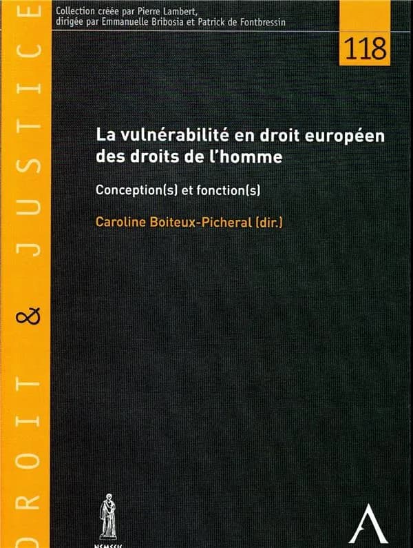 La vulnérabilité en droit européen des droits de l'homme : conceptions(s) et fonctions(s)