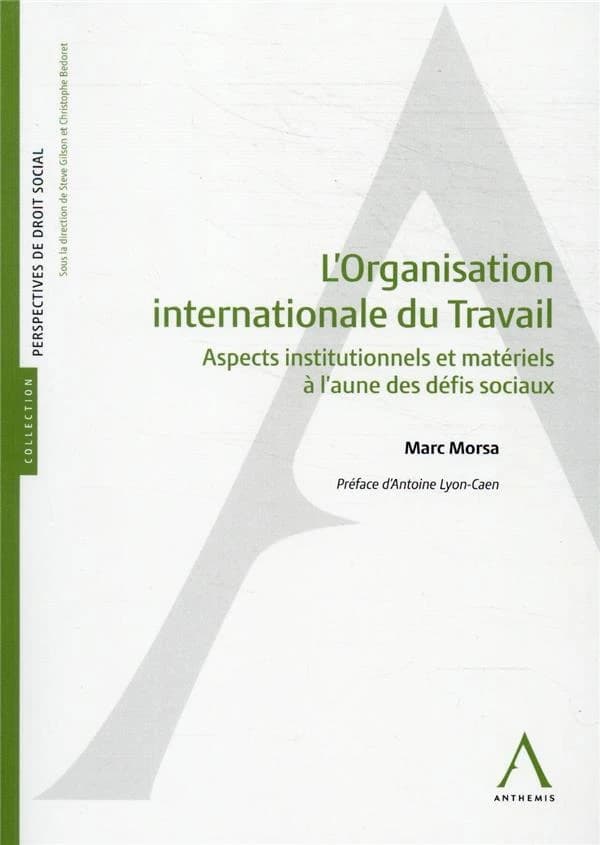 L' Organisation internationale du travail : aspects institutionnels et matériels à l'aune des défis sociaux