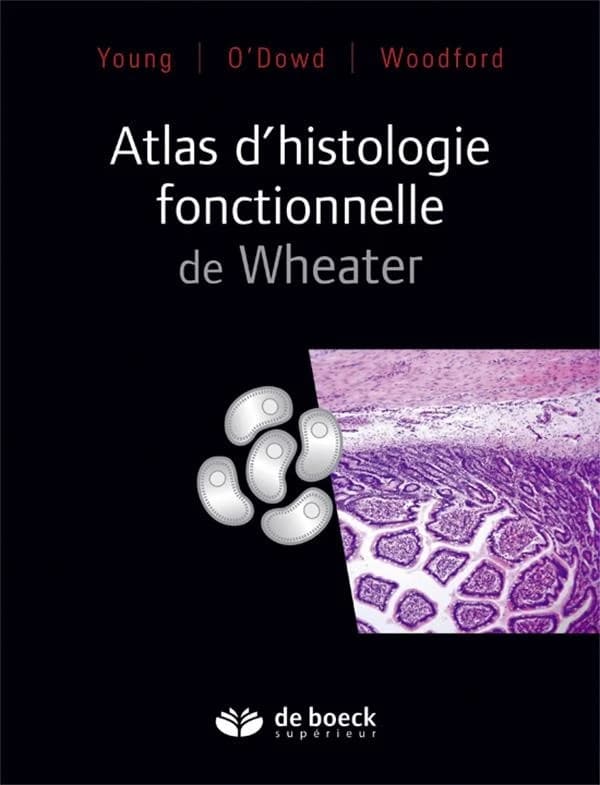 Atlas d'histologie fonctionnelle de Wheater (3e éd.) [mise à jour de] Young, O'Dowd, Woodford ; traduction de la 6e édition anglaise par Pierre Validire et Patricia Validire-Charpy