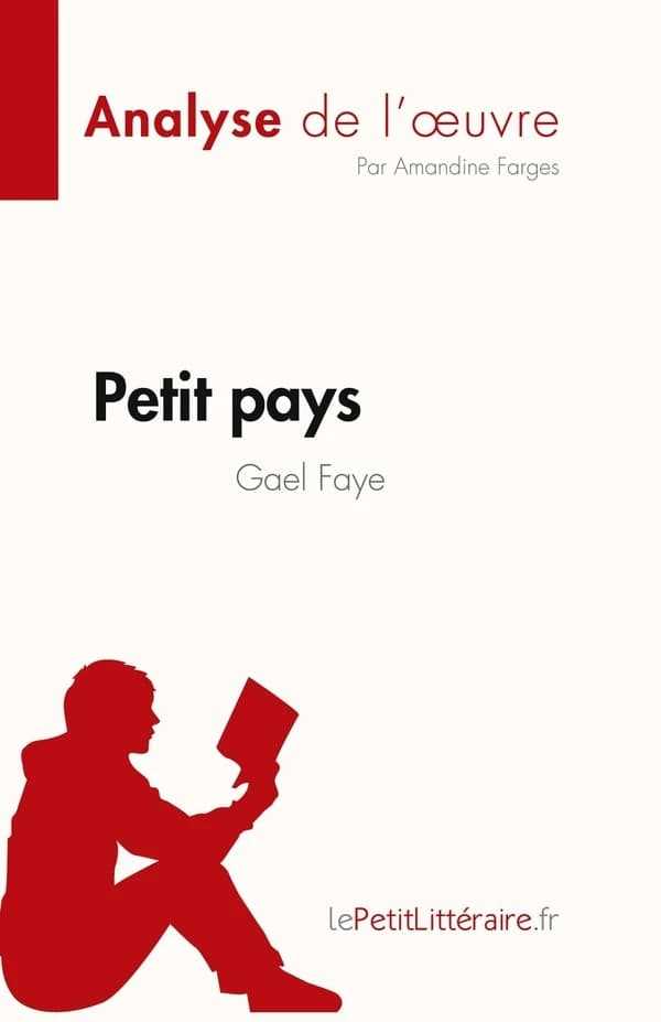 Petit pays de Gael Faye (Analyse de l'¿uvre) : Résumé complet et analyse détaillée de l'oeuvre