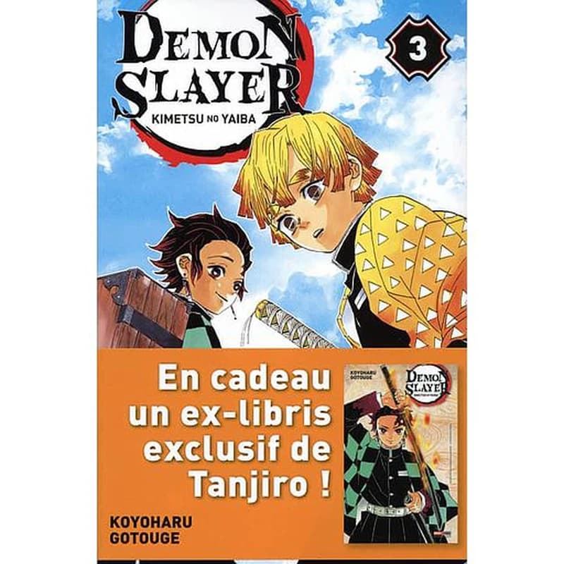 Demon slayer : kimetsu no yaiba. 3