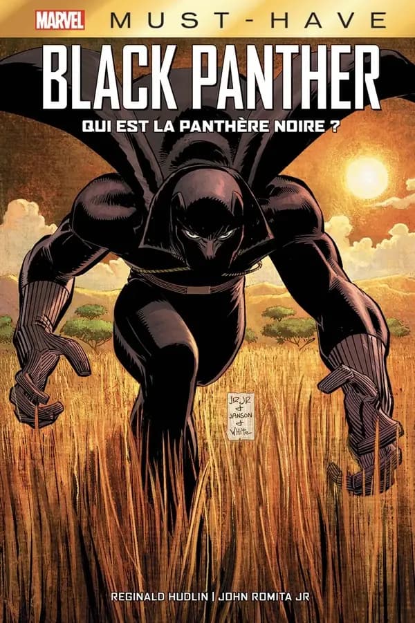 Black Panther : qui est la Panthère noire ?
