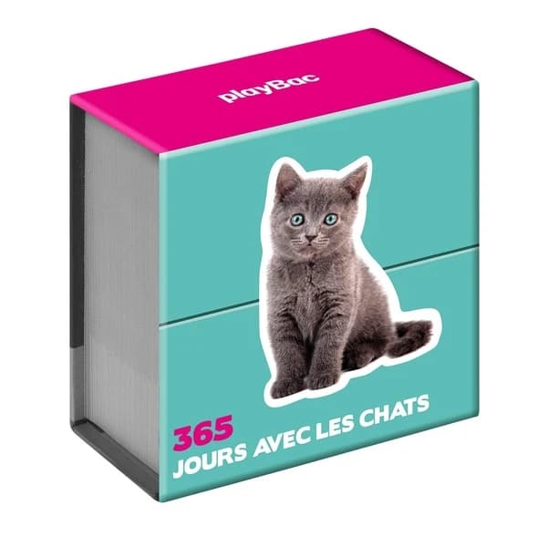 Mini calendrier ; 365 jours avec les chats
