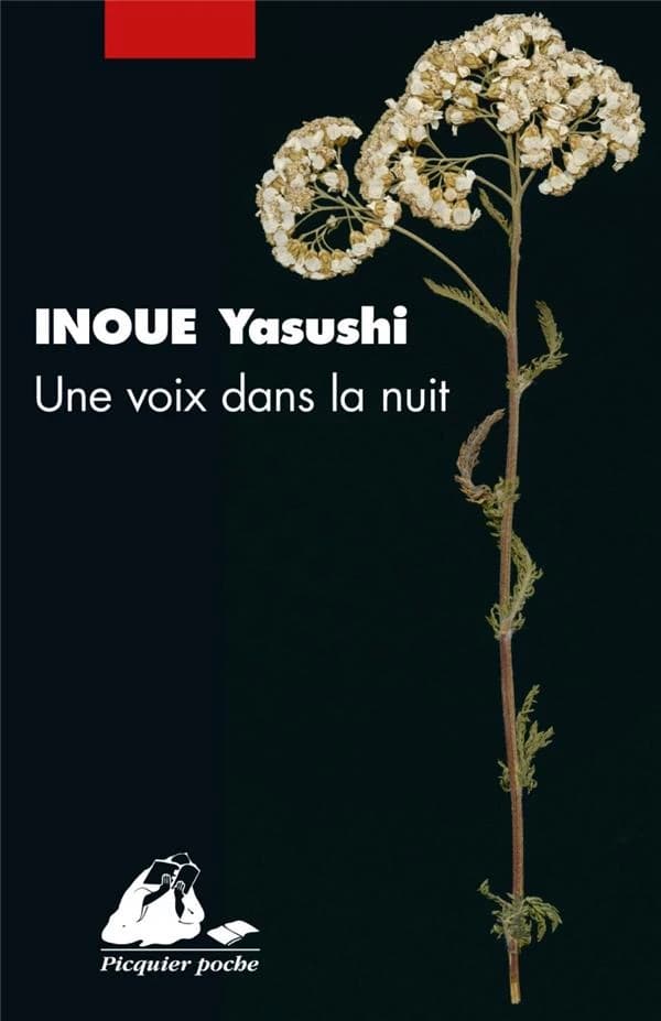 Une voix dans la nuit : roman