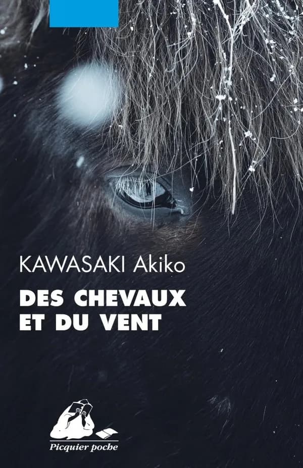 Des Chevaux et du Vent