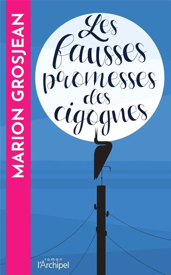 Les fausses promesses des cigognes : roman