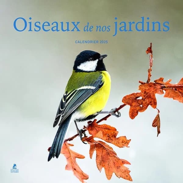 Oiseaux de nos jardins : calendrier (édition 2025)