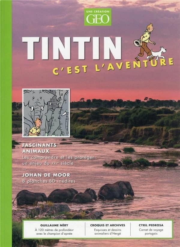 Tintin, c'est l'aventure n.11 : fascinants animaux