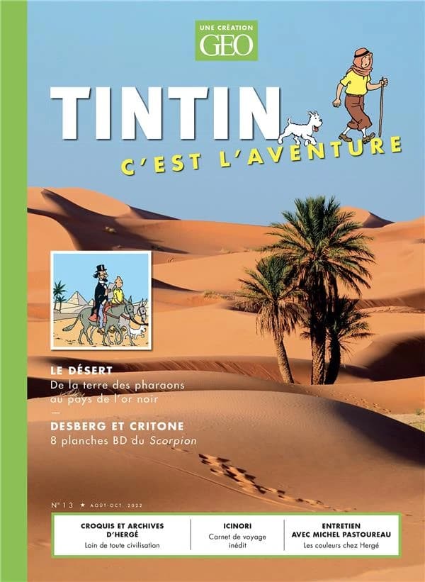 Tintin, c'est l'aventure n.13 : le désert