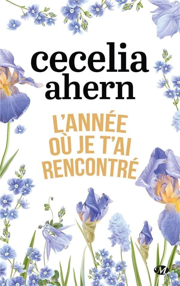 L'année où je t'ai rencontré