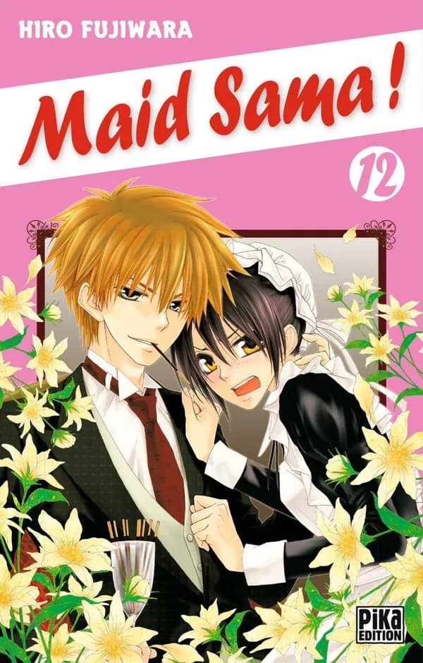 maid sama ! t.12