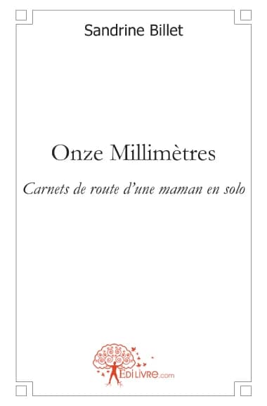 Onze millimètres : carnets de route d'une maman en solo : nouvelles et poèmes