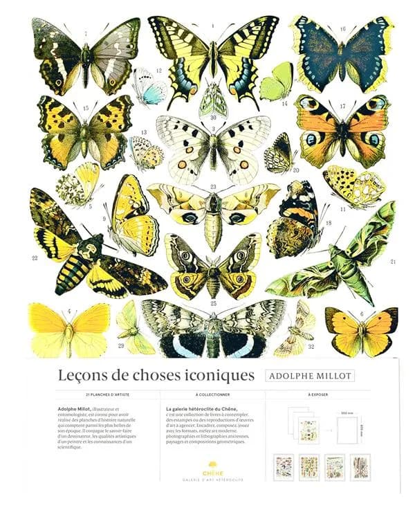 Leçons de choses iconiques : vingt et une reproductions d'art : [portfolio de reproductions]