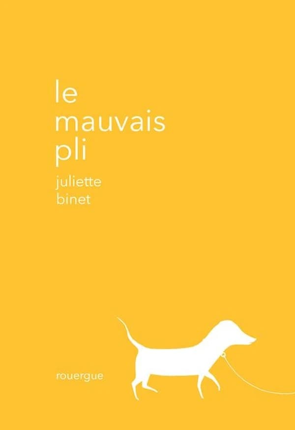 Le mauvais pli