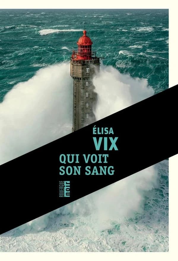 Qui voit son sang : roman