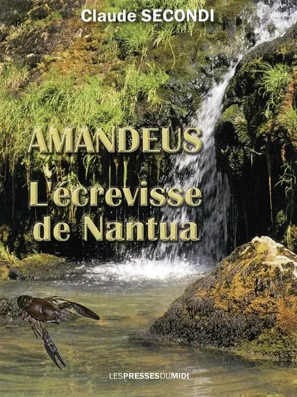 Amandeus : l'écrevisse de Nantua
