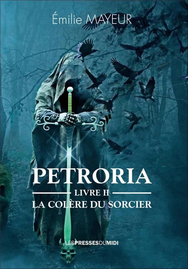 Petroria : livre 2 : la colere du sorcier