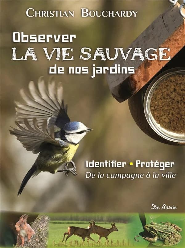 Observer la vie sauvage de nos jardins : identifier, protéger, de la campagne à la ville