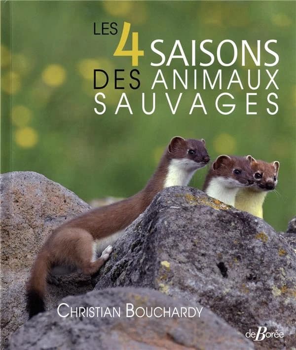 Les 4 saisons des animaux sauvages