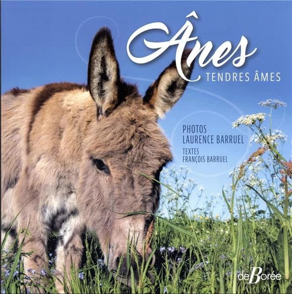 Ânes : tendres âmes