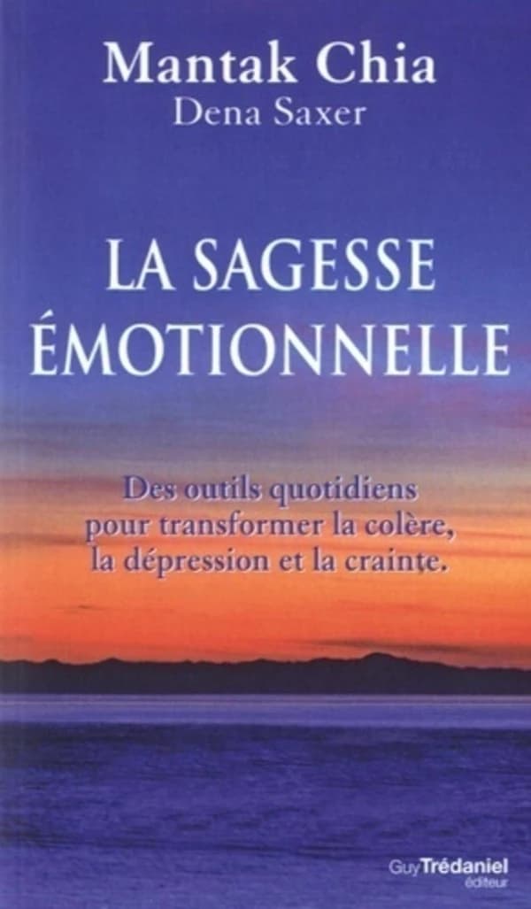 La sagesse émotionnelle ; des outils quotidiens pour transformer la colère, la dépression et la crainte