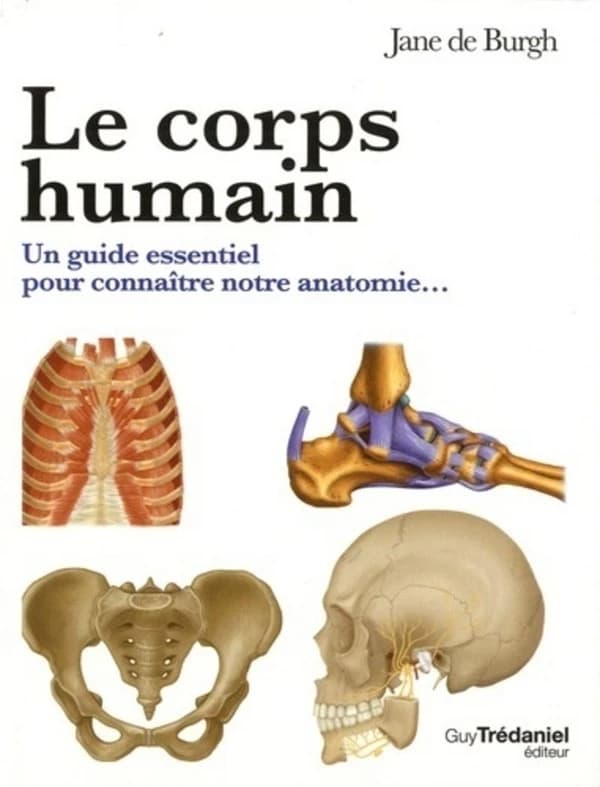 Le corps humain : un guide essentiel pour connaître notre anatomie