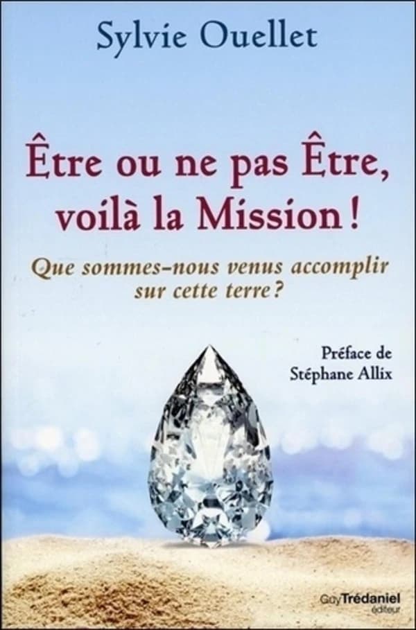 Être ou ne pas être, voilà la mission ! : que sommes-nous venus accomplir sur cette terre ?
