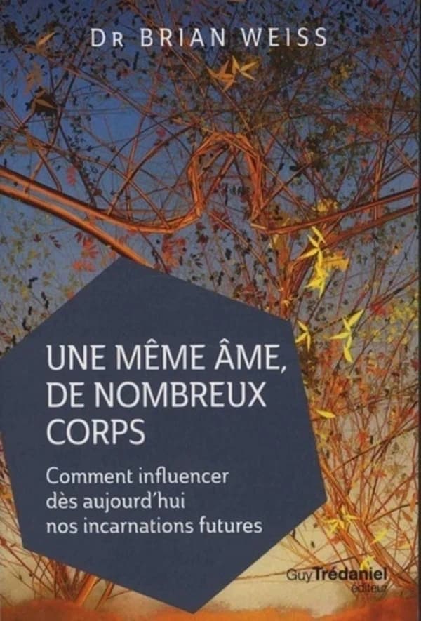 Une même âme, de nombreux corps : comment influencer dès aujourd'hui nos icarnations futures