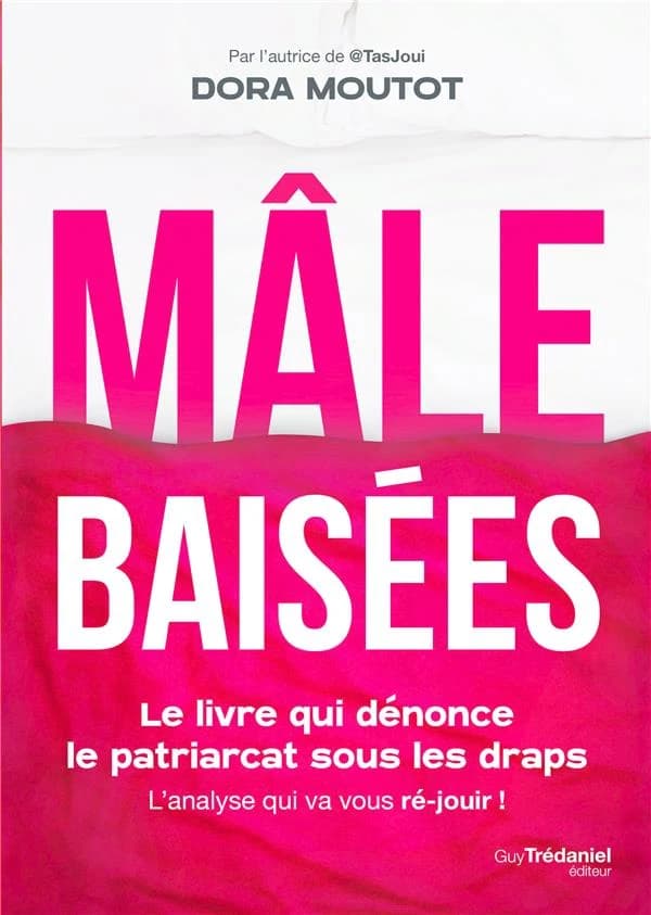 Mâle baisées : le livre qui dénonce le patriarcat sous les draps, l'analyse qui va vous ré-jouir !