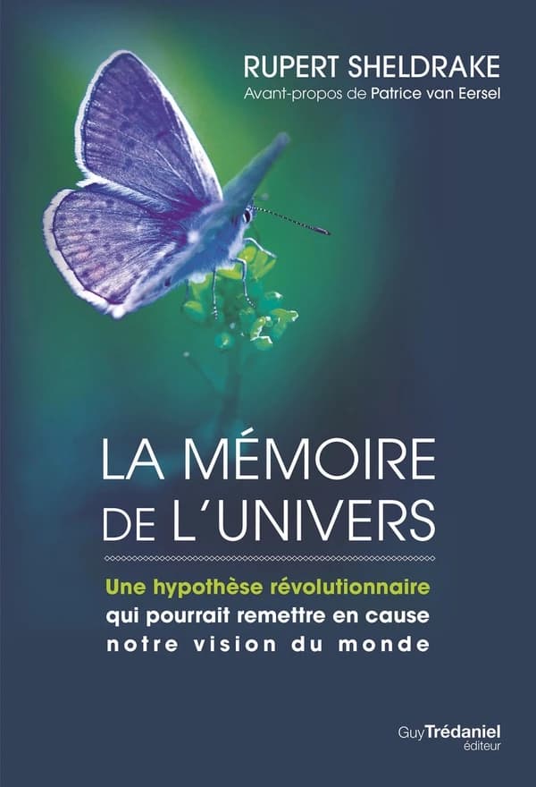La mémoire de l'univers : une hypothèse révolutionnaire qui pourrait remettre en cause notre vision du monde