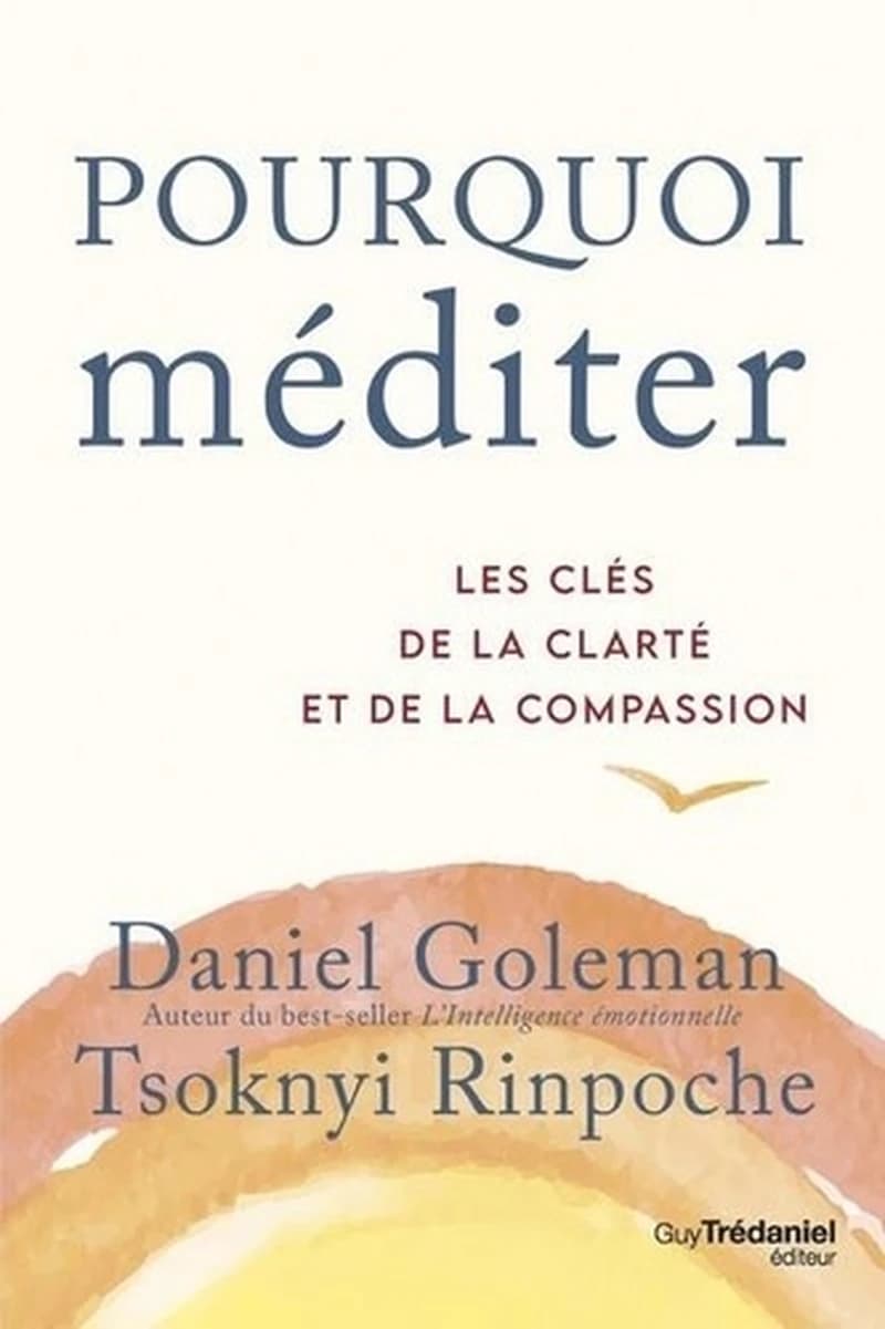 Pourquoi méditer : les clés de la clarté et de de la compassion