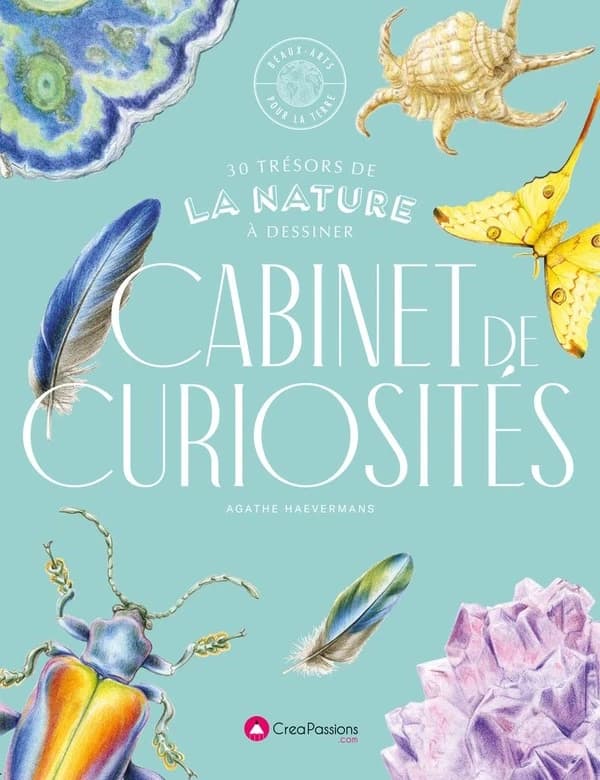 Cabinet de curiosités : 30 trésors de la nature à dessiner