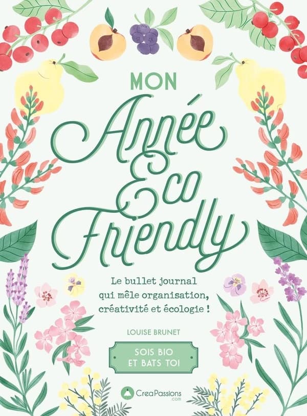 Mon année éco-friendly : le bullet journal qui mêle organisation, créativité et écologie !