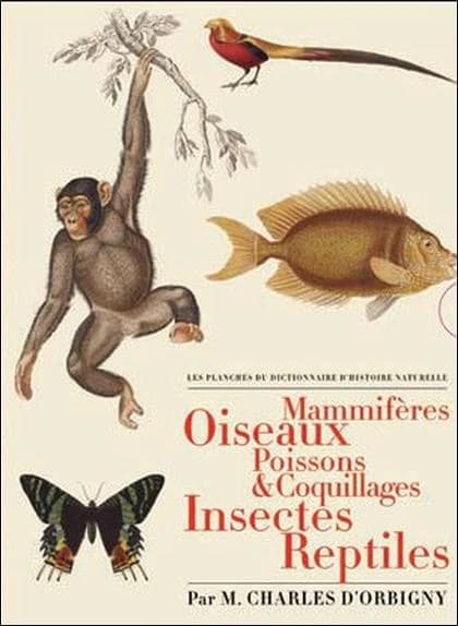 Les planches du "Dictionnaire d'histoire naturelle" : mammifères, oiseaux, poissons & coquillages, insectes, reptiles