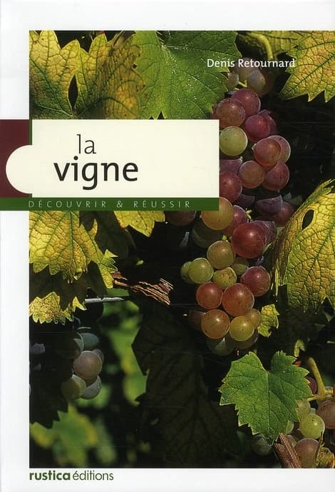 La vigne