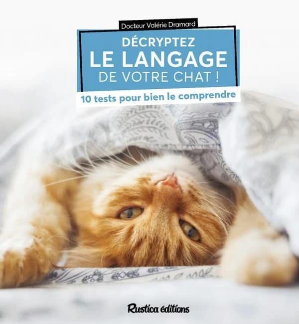 Décryptez le langage de votre chat : 10 tests pour bien le comprendre