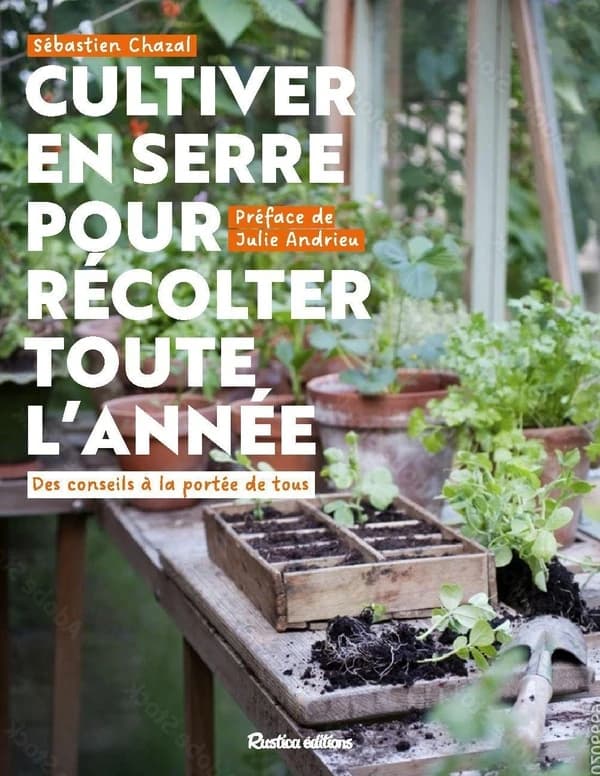 Cultiver en serre pour récolter toute l'année : des conseils à la portée de tous