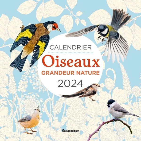 Calendrier Oiseaux grandeur nature
