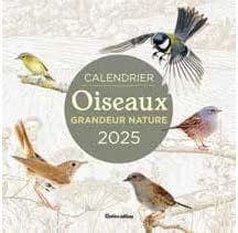 Calendrier oiseaux grandeur nature