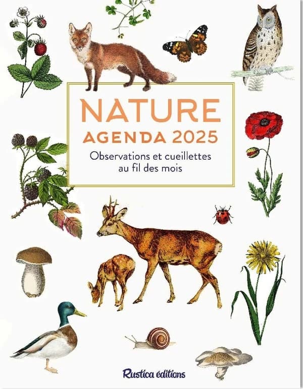 Agenda nature : Observations et cueillettes au fil des mois