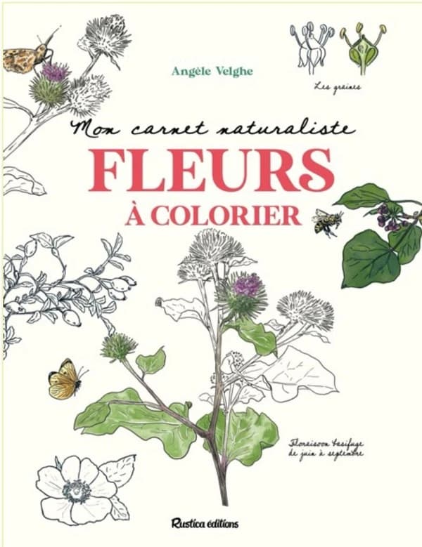 Mon carnet naturaliste : Fleurs à colorier