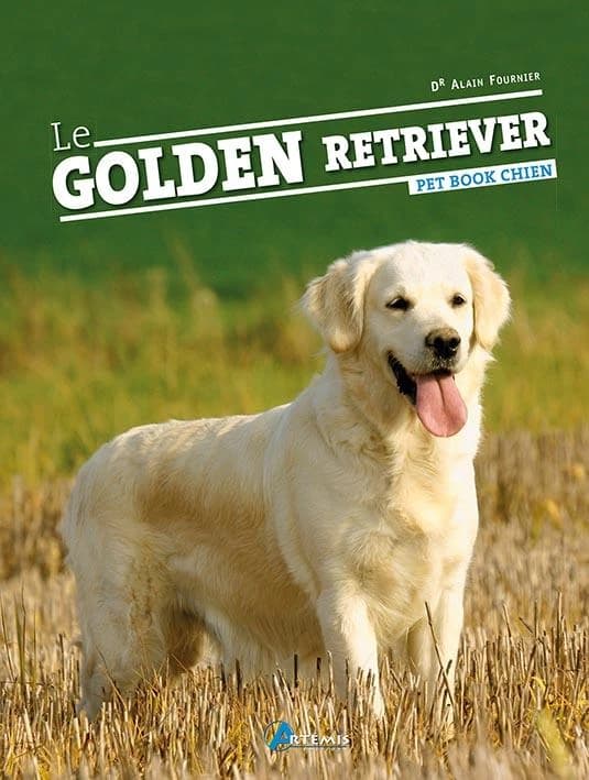 Le Golden Retriever
