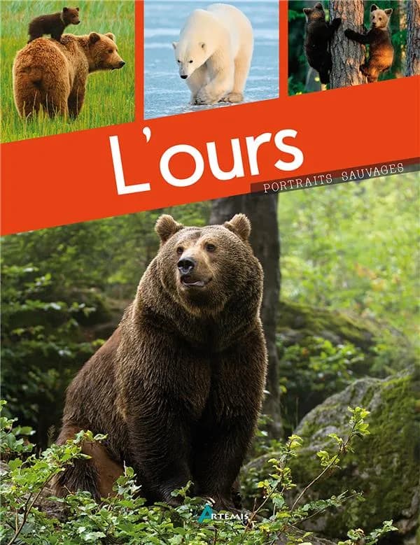 L'ours ([Nouvelle éd.]) Maurice Dupérat