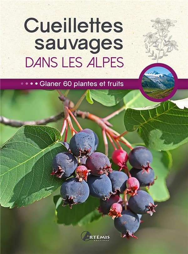Cueillettes sauvages dans les Alpes : 60 plantes et fruits à glaner