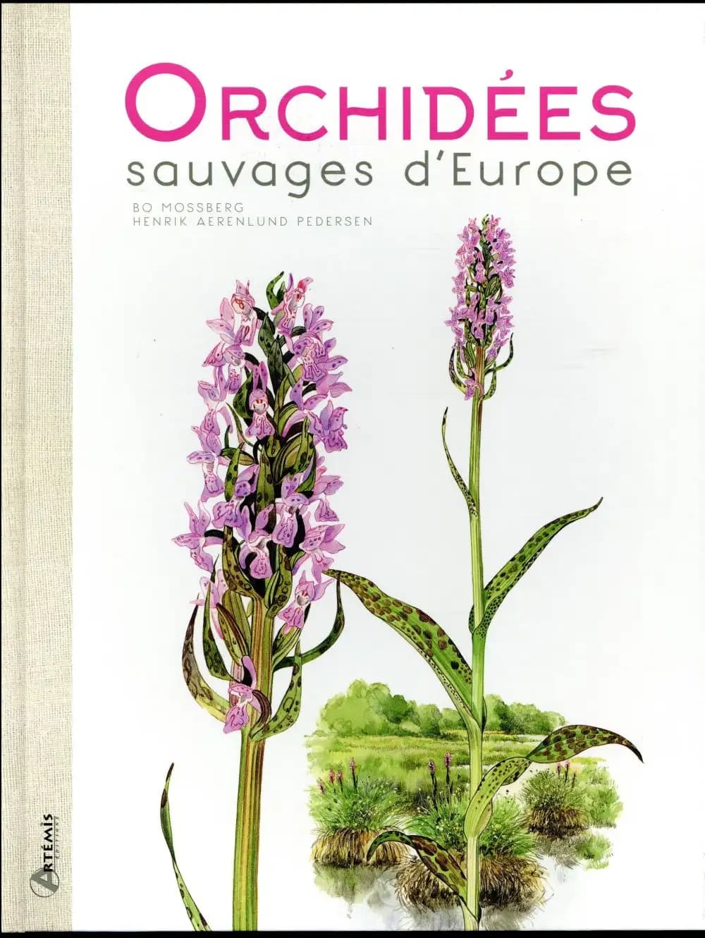 Orchidées sauvages d'Europe