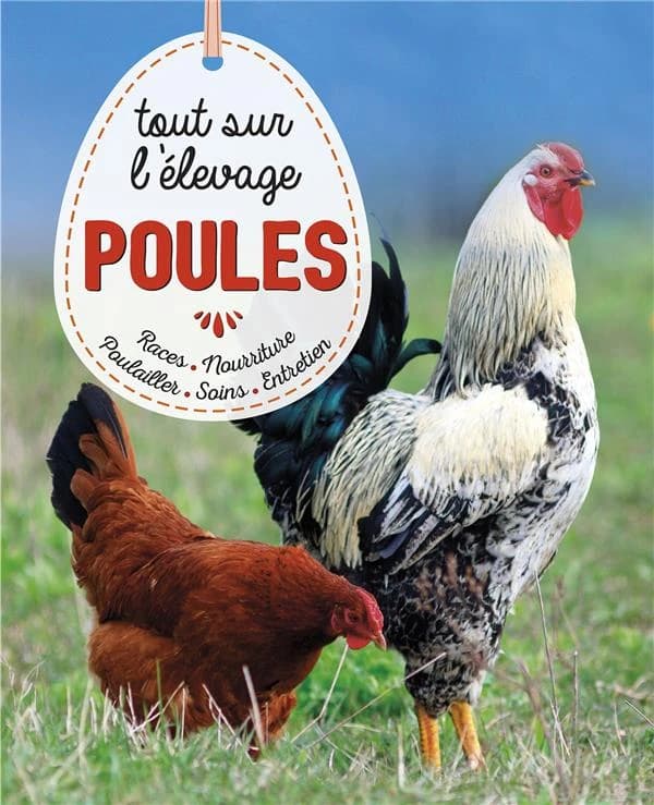 Tout sur l'élevage des poules : races, soins, poulailler, entretien